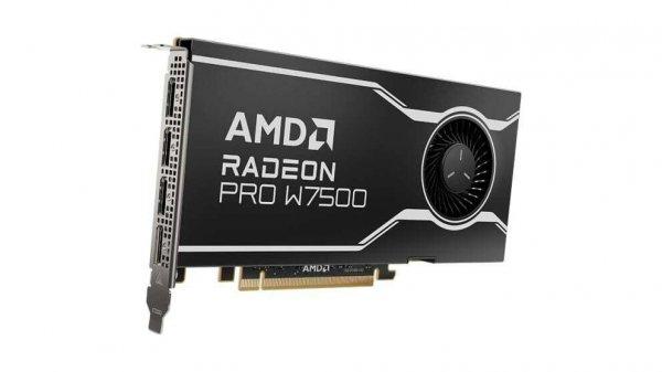 AMD Radeon Pro W7500 8GB DDR6