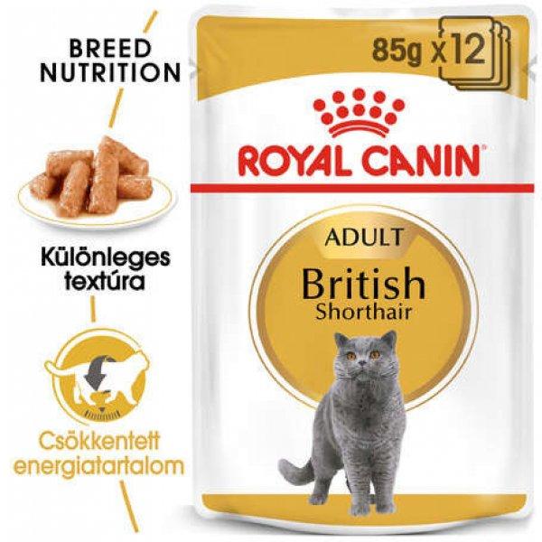 Royal Canin British Shorthair Adult - Brit rövidszörű felnőtt macska nedves
táp (48 x 85 g) 4.08 kg