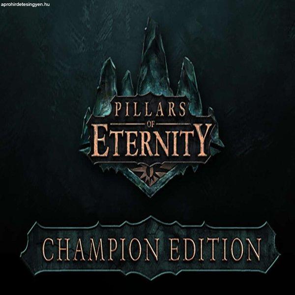 Pillars of Eternity (Champion Edition) (Digitális kulcs - PC)