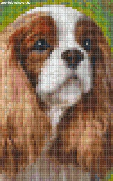 Pixel szett 2 normál alaplappal, színekkel, kutya, logó fülű (802095)