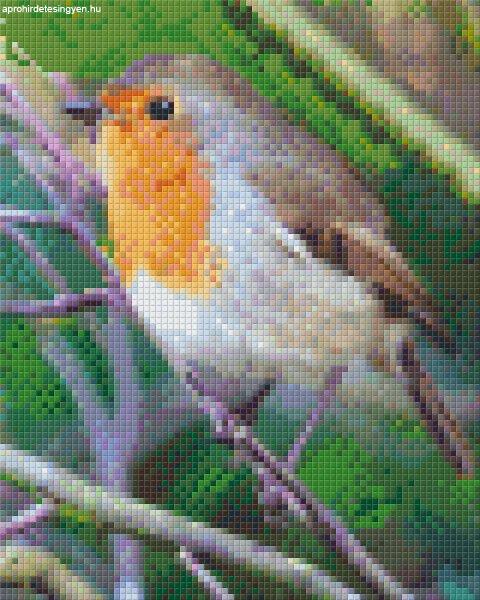 Pixel szett 4 normál alaplappal, színekkel, madár (804432)