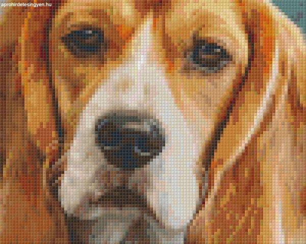 Pixel szett 4 normál alaplappal, színekkel, kutya, basset hound (804445)