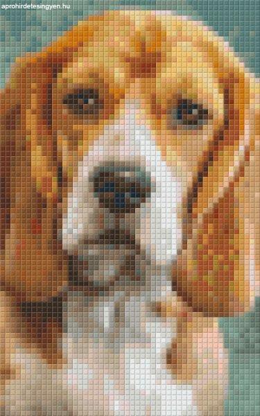 Pixel szett 2 normál alaplappal, színekkel, kutya, basset hound (802092)