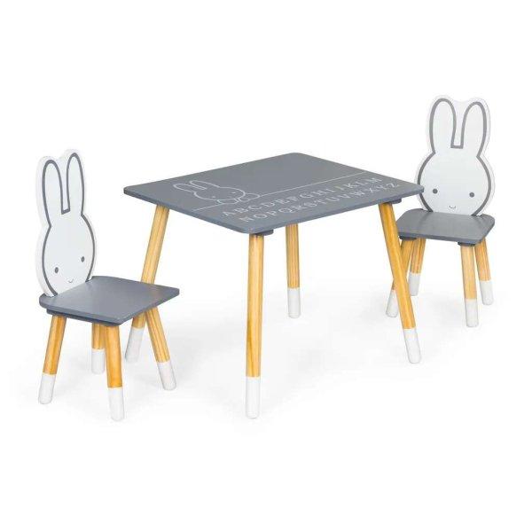 Gyerek asztal két székkel gyerekbútor Ecotoys készlet