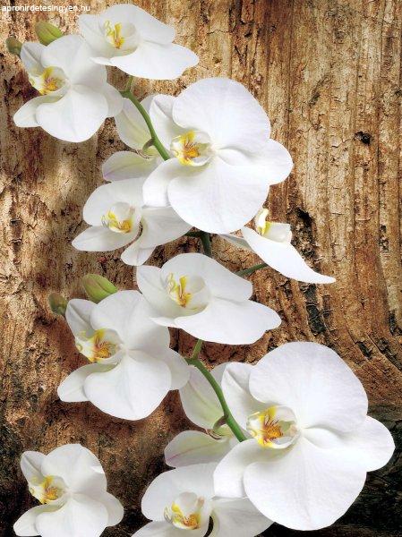 Fotótapéta Orchidea 3D