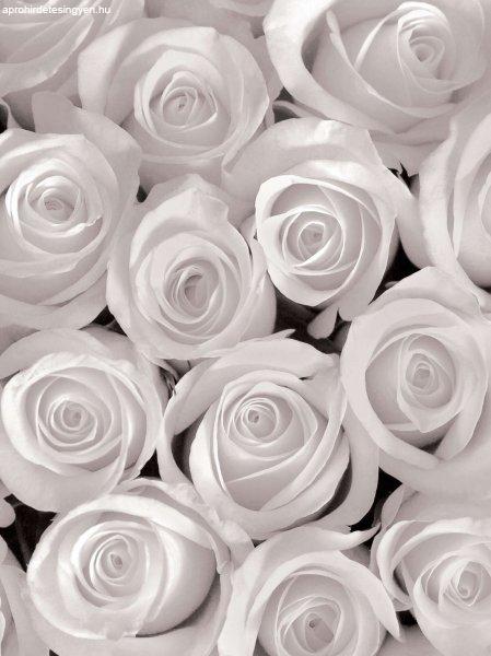 Fotótapéta fehér rózsák 3D
