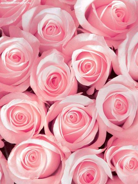 Fotótapéta rózsaszín rózsák 3D