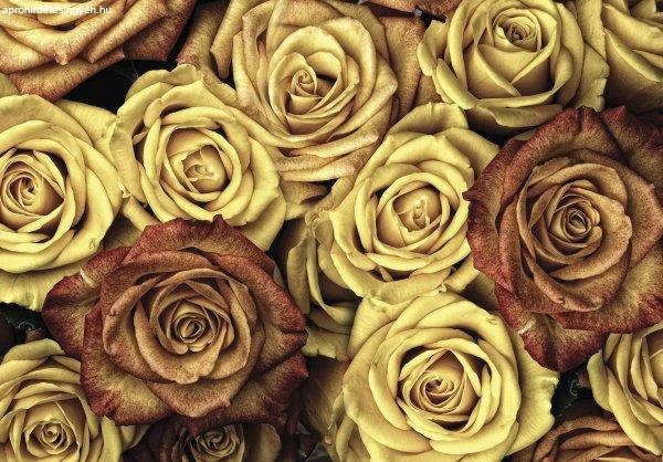 Fotótapéta Vintázs  rózsák 3D XL