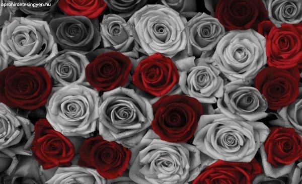 Fotótapéta rózsák piros-szürke L