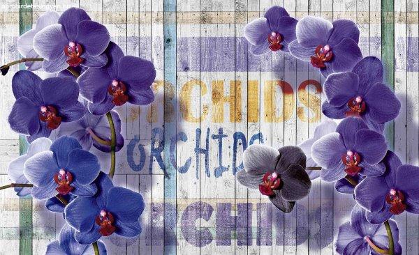 Fotótapéta lila orchidea