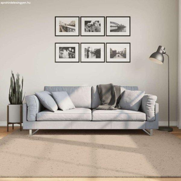 vidaXL homokszínű rövid szálú puha és mosható szőnyeg 200 x 200 cm