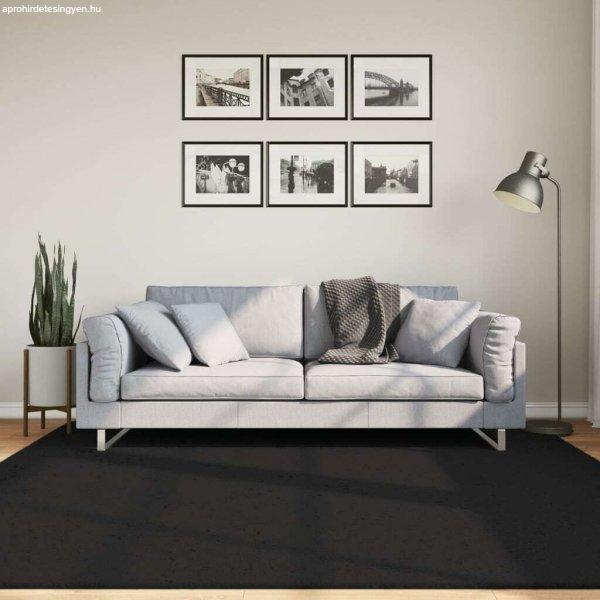 vidaXL fekete rövid szálú puha és mosható szőnyeg 200x200 cm