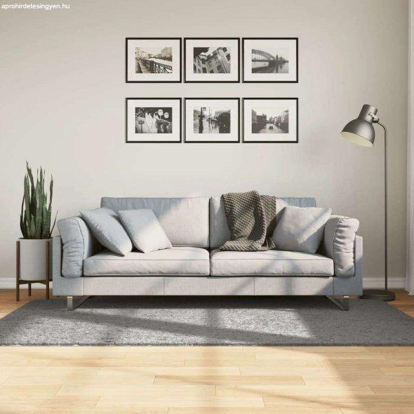 vidaXL szürke hosszú szálú bozontos modern szőnyeg 100 x 200 cm