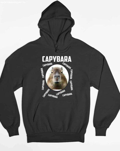 Capybara capybara pulóver - egyedi mintás, 4 színben, 5 méretben