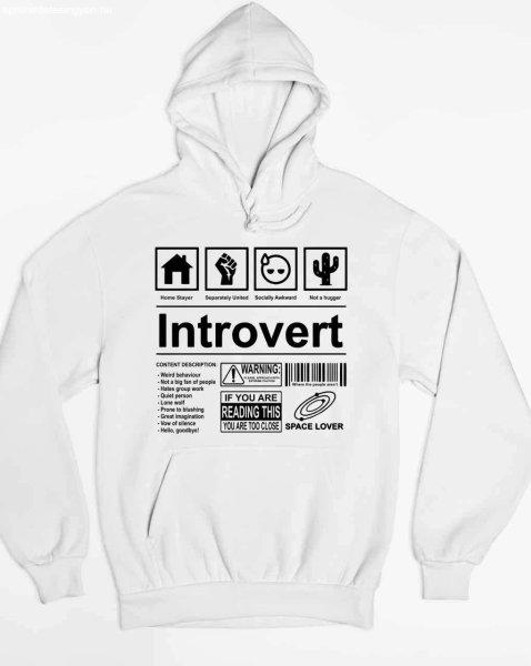 Introvert pulóver - egyedi mintás, 4 színben, 5 méretben