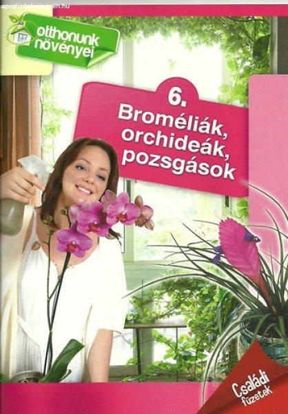 Otthonunk növényei Broméliák, Orchideák, Pozsgások