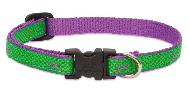 LUPINE nyakörv (CLUB Augusta Green 1,25 cm széles 21-30 cm)