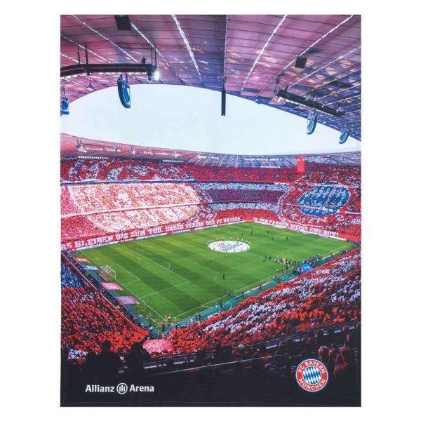 Bayern München takaró polár Allianz Aréna 130x170cm