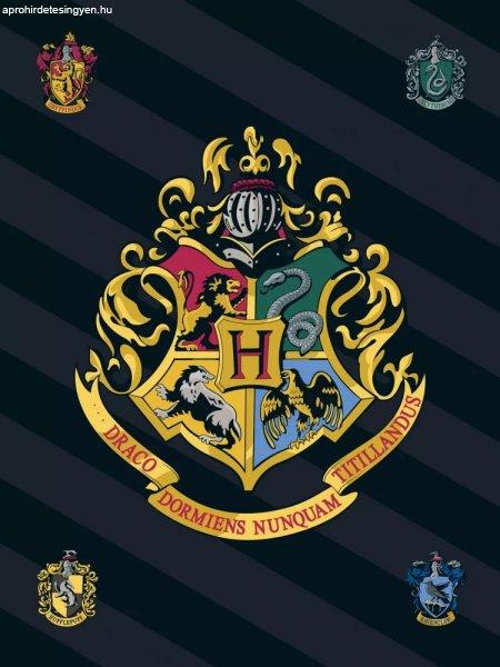 Harry Potter csíkos Címeres polár takaró