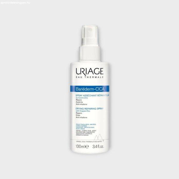 BARIÉDERM Cica CU-ZN+ Spray - Bőrirritációk ellen 100 ml