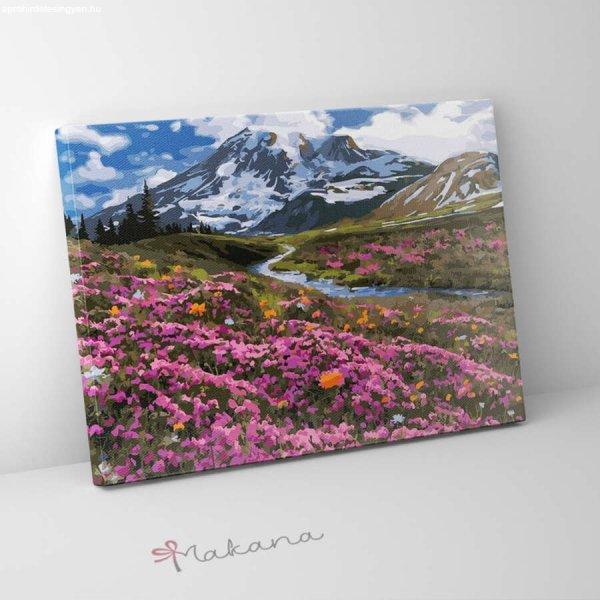 Virágzó hegyi rétek - Számfestő készlet, kerettel (50x65 cm)