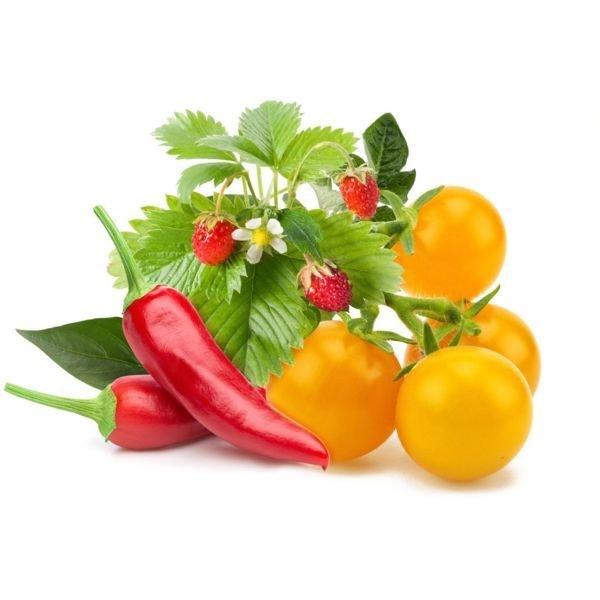 Click and Grow zöldség-gyümölcs keverék - PC