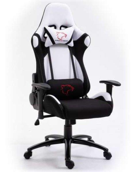 Dark Gamer szék nyak- és derékpárnával, 130 kg, Ruhaszövet anyag,
Fehér-fekete