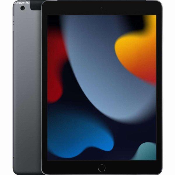 Apple iPad 10.2 Wi-Fi + Cellular 256GB (spacegrau) 9.Gen (MK4E3FD/A)