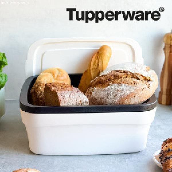 Tupperware Breadsmart Large kompakt kenyértartó nagy kivitel