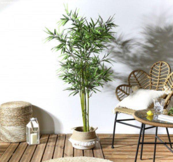 Bambusz, cserépben 150 cm (műnövény)