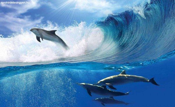 Fotótapéta Delfinek a tengerben