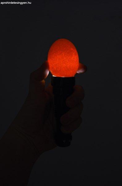 Tojás Átvilágító - Kerbl Professional Egg Led Light - LED Candling Lamp
lámpázó termékenység ellenőrző lámpa (73126)
