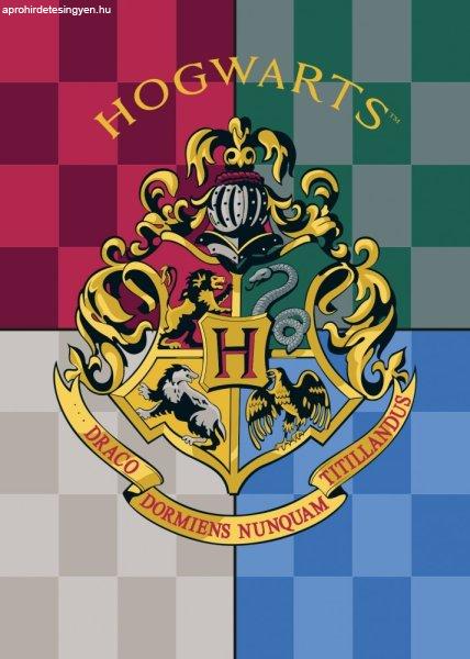 Harry Potter takaró 100x140 cm, címeres