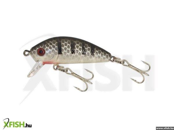 Gold Star Wobbler Perch-2 Col:18