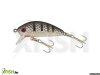 Gold Star Wobbler Perch-1 Col:18