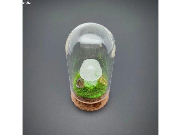 Gomba hegyikristály üvegben 3x6,5cm