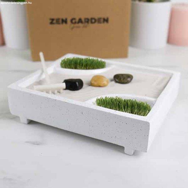 Asztali Zen kert növény magokkal