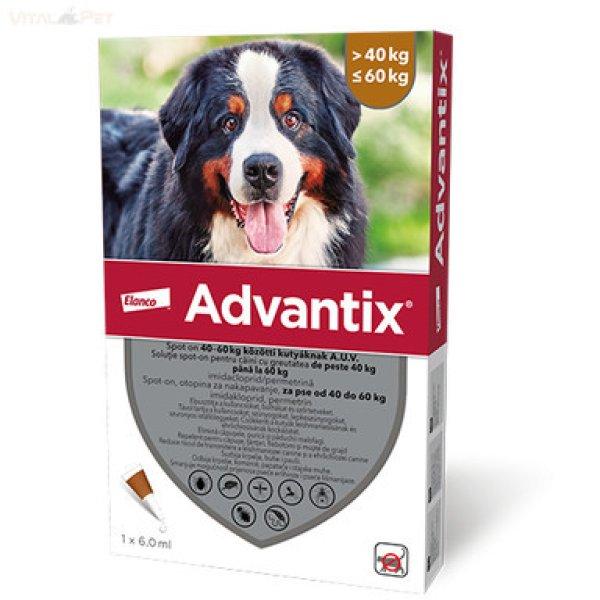 Advantix® 1 db spot on 40-60 kg közötti kutyáknak 1x6 ml