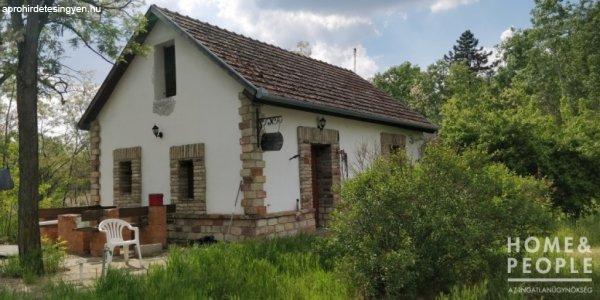 Eladó 80 nm-es Felújított Családi ház Zsana   