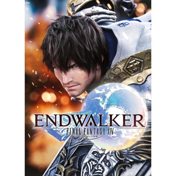 Final Fantasy XIV: Endwalker (PC - Official website elektronikus játék
licensz)