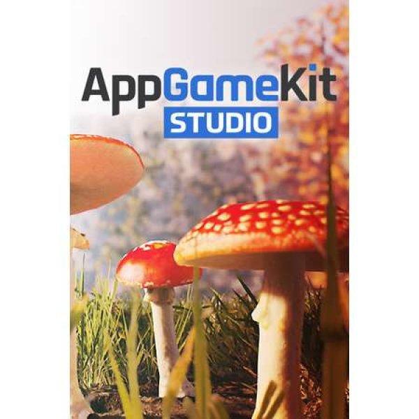 AppGameKit Studio (PC - Steam elektronikus játék licensz)