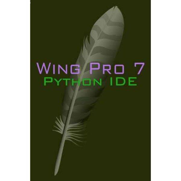 Wing Pro 7 (PC - Steam elektronikus játék licensz)