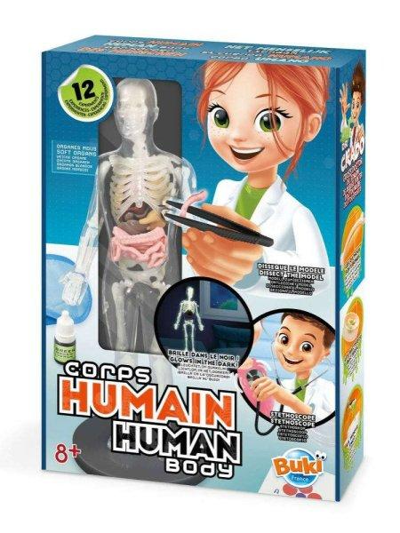 Az emberi test - Tudományos készlet - Buki
