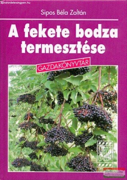 Sipos Béla Zoltán - A fekete bodza termesztése