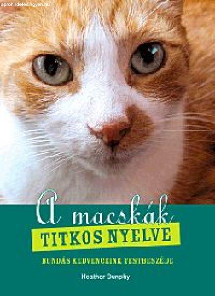 A macskák titkos nyelve 