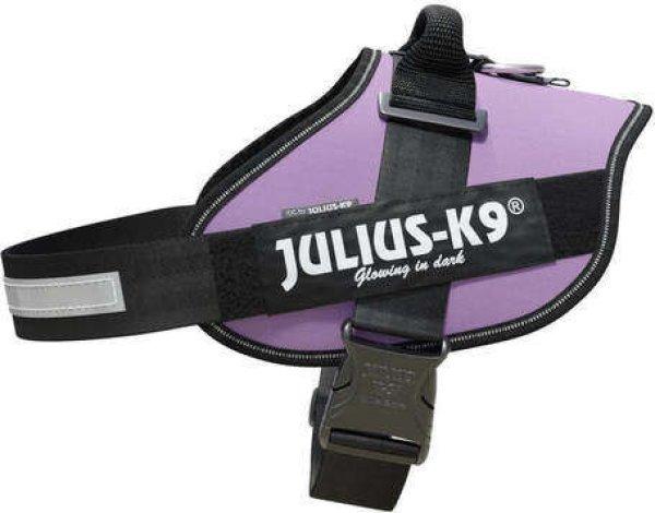 Julius-K9 IDC lila powerhám kutyáknak (40-70 kg, 82-115 cm)