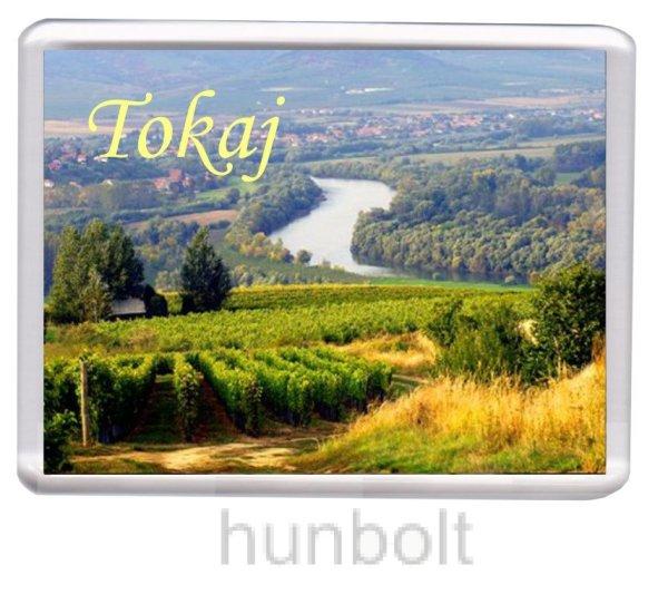 Tokaj- Borvidék hűtőmágnes (műanyag keretes) 