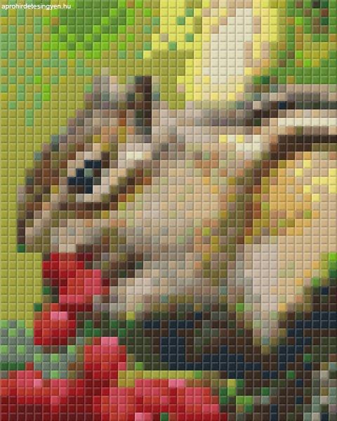 Pixel szett 1 normál alaplappal, színekkel, csíkos mókus (801236)