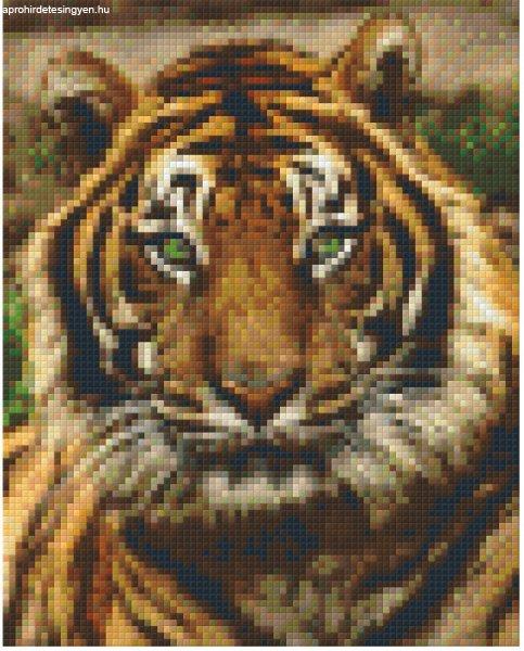 Pixel szett 4 normál alaplappal, színekkel, tigris (804156)