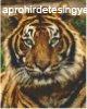 Pixel szett 4 norml alaplappal, sznekkel, tigris (804156)